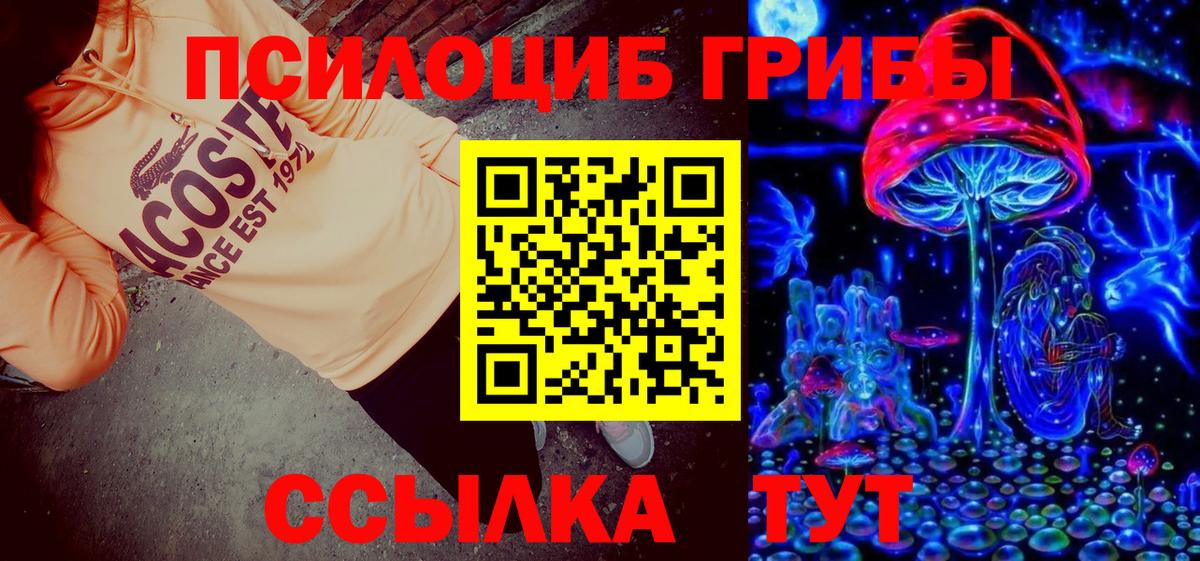 Красноармейск  Галлюциногенные грибы Psilocybe  Вход с VPN 